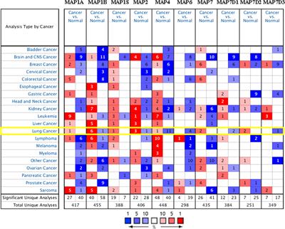 Expression of Microtubule-Associated Proteins in Relation to Prognosis and Efficacy of Immunotherapy in Non-Small Cell Lung Cancer